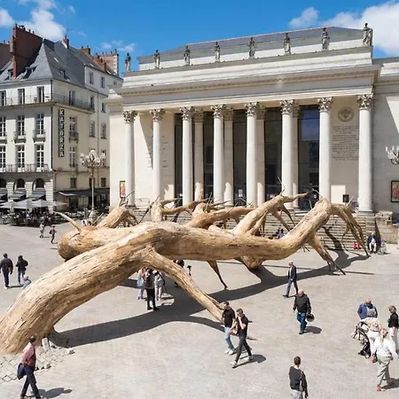 Osez Coeur De Ville! T3 Chic Et Spacieux *