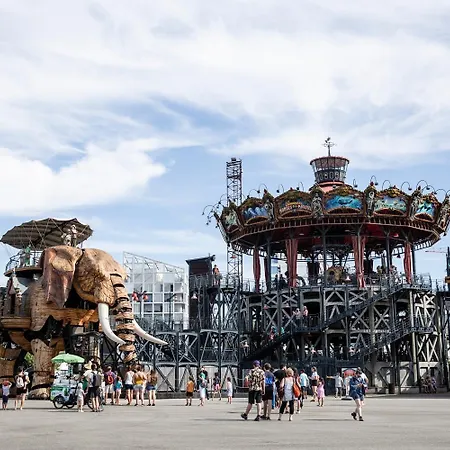 Osez Coeur De Ville! T3 Chic Et Spacieux